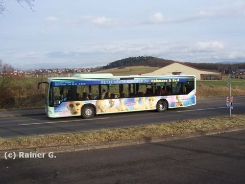 Im schneelosen Januar 2008 mit dem Florenberg im Hintergrund - ebenfalls eine Aufnahme von Rainer. Vielen Dank für die Photos!