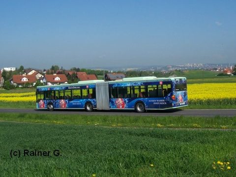 Im Frühsommer 2008 am Geisküppel, eine Aufnahme von Rainer