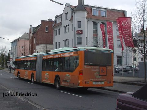 Kurz nach der Abfahrt vom ZOB Richtung Petersberger Straße