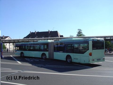 Auch dies, wie das folgende Bild, Sommer 2006