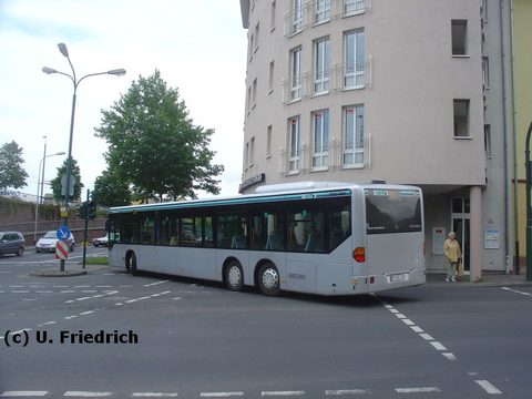 Nach annähernd zwei Stunden ist er wieder zurück. Daß ich ihn am gleichen Tag nochmals erwischte, war jedoch ein Zufall und gar nicht geplant. Hier je