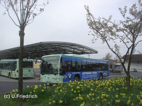 Im April 2008 vor blühenden Osterglocken am ZOB