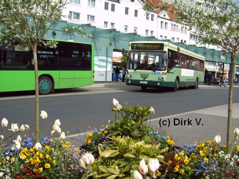 Frühling - eine Aufnahme von Dirk