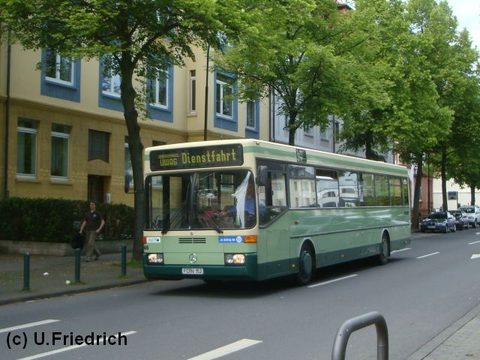 Im Mai begegnete er mir in der Lindenstraße
