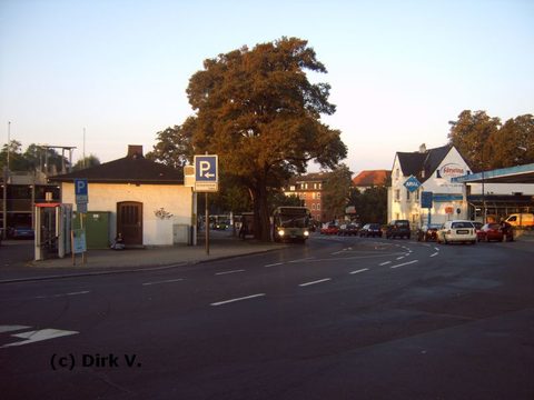Im September 2006 sah ihn Dirk im wunderbaren Morgenlicht im Schülerverkehr an der Haltestelle Ochsenwiese stehen ...