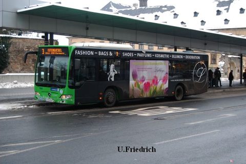 *neu Februar 2013: Ein erster Frühlingsbote ist unterwegs