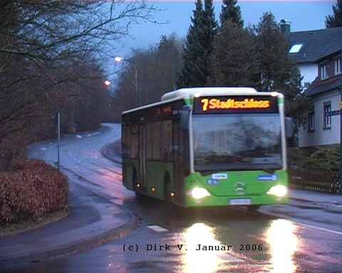 Zwischen Schneeresten bei nass-kaltem Wetter im Januar 2006, eine Aufnahme von Dirk