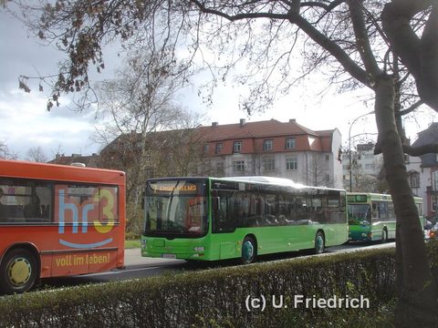 März 2008 am Heinrich von Bibra Platz