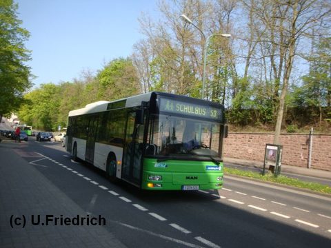 Anfang Mai als Schulbus, von vorne ...