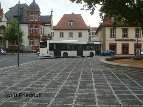 Am Heinrich-von-Bibra Platz im Juli 2009