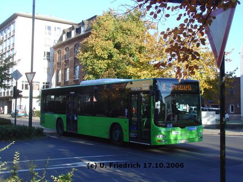 Bei sonnigem Herbstwetter am Heinrich von Bibra Platz