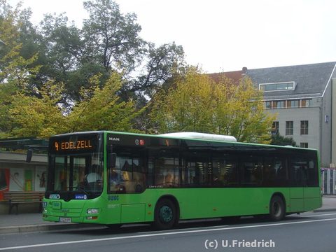 Die Blätter werden bunt: Ende September in der Rabanusstraße