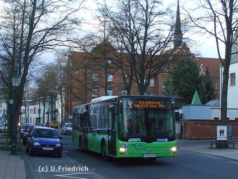 Ich habe ihn Anfang März dann auch in der Königstraße gesehen und von der anderen Straßenseite aufgenommen