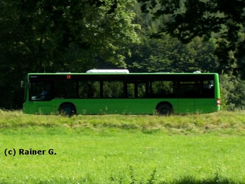 Sommer! Eine Aufnahme von Rainer