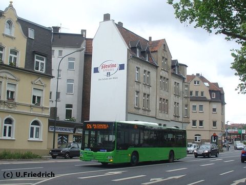Im Frühjahr in der Petersberger Straße