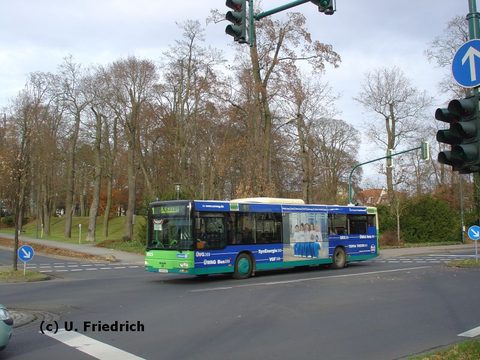 Nun sind die Bäume wirklich kahl: Vor einer kleinen Parkanlage im November 2006