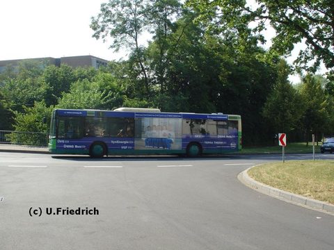Und hier die andere, am Gerloser Weg