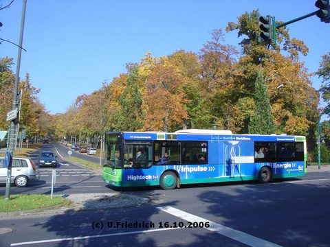 Vor herbstlicher Kulisse Mitte Oktober