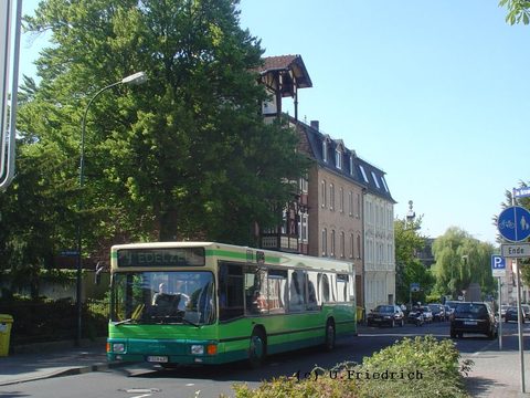 Anfang Mai haben wir ihn wieder ablichten können, auf der 4 in der Brauhausstraße