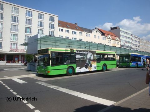 Im Juli 2009 am Stadtschloß