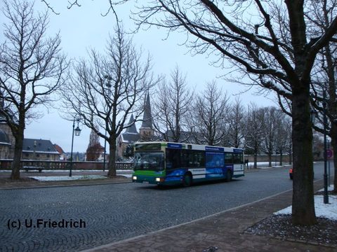 Von Rauhreif überhauchte Bäume: In der Pauluspromenade vor dem Hintergrund der Michaelskirche