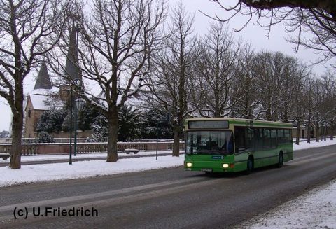 Im Januar 2010 in der Pauluspromenade