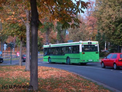 ... nun ohne den zuvor vorhandenen dunkelgrünen Streifen