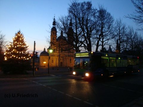 Weihnachtsbaum vor dem Dom - noch ohne Schnee