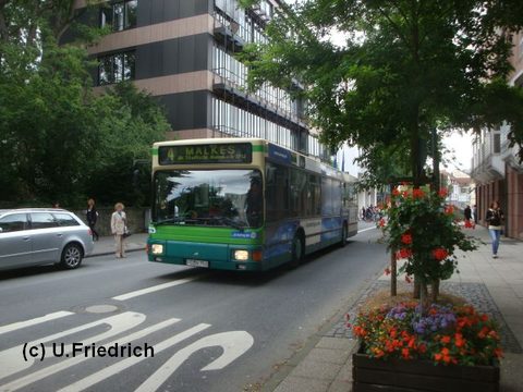 Im Juli auf Linie 4 in der Rabanusstraße