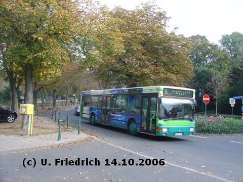 ... zwischen herbstlichen Kastanien