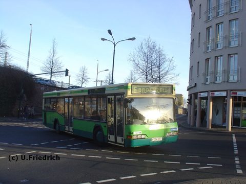 Sonnenschein im Februar - nun schreiben wir das Jahr 2007