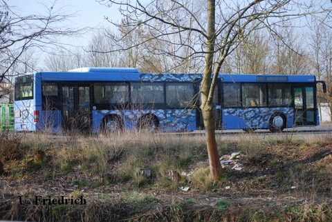 Die einzige Aufnahme von diesem Bus stammt vom März